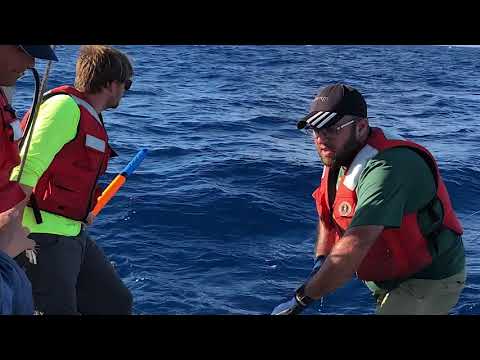 Hawai’i Island Offshore Submarine Freshwater Discovery