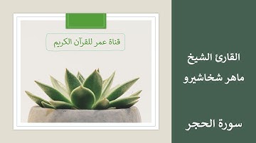 015 ـ سورة الحجر ـ القارئ الشيخ ماهر شخاشيرو