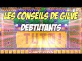 Stardew valley  conseils pour dbutants  memoria fr