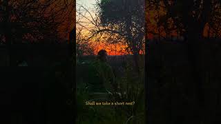 Come rest up in camp and recover your strength. #adventure #camping #fantasy #dnd #relax #sunset