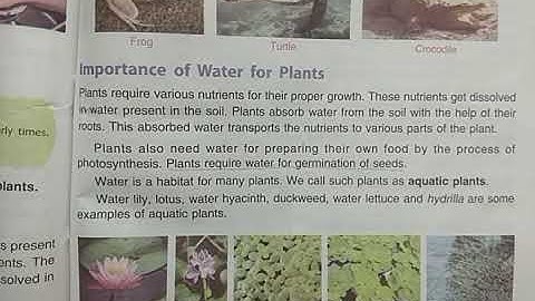 DAV Nahan Class-V Science Lesson-7, Part-6