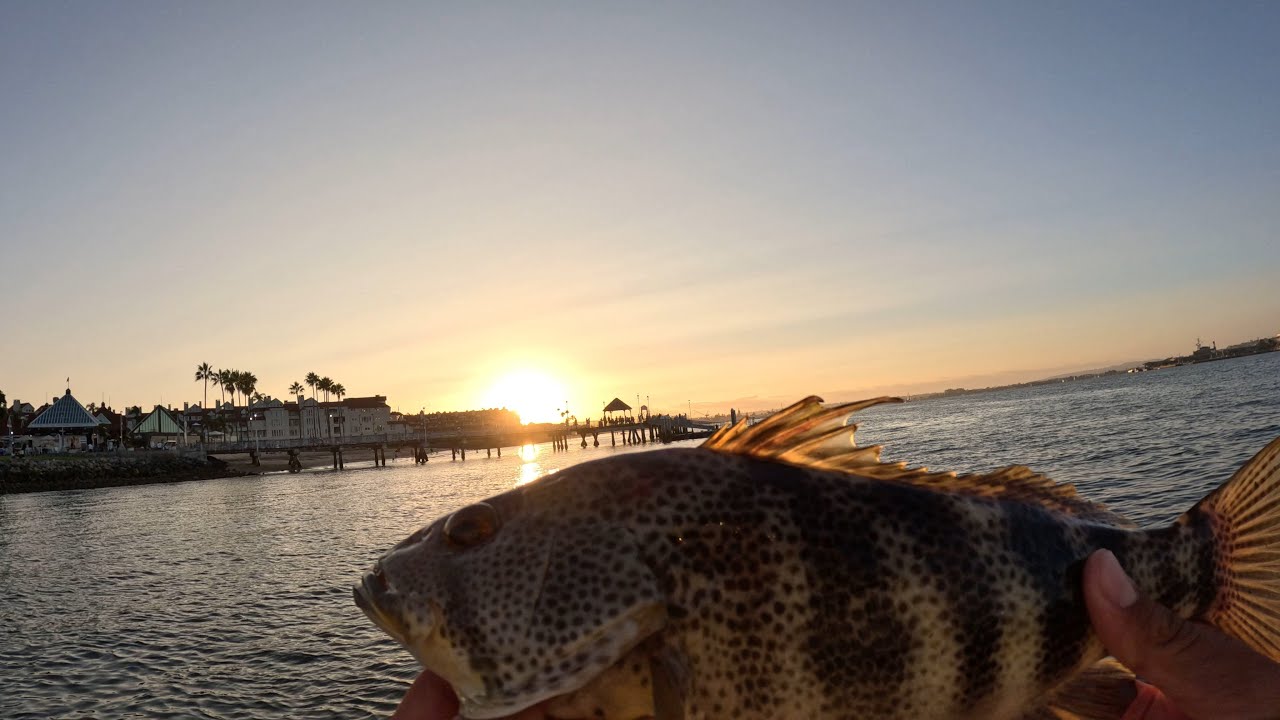 SAN DIEGO BASS FISHING UNTIL SUNSET (A LOT OF BASS)