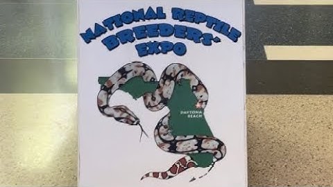 2023 NRBE DAYTONA BEACH REPTILE SHOW! BOF TAKEOVER! WATCH TIL THE END TO SEE THE NEW SNAKE WE BOUGHT