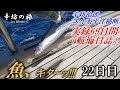 トビウオ、デッキへ飛び込んでくる!!&メインセール揚げます 辛坊治郎ヨット太平洋横断往路69日間の航海日誌動画22日目~辛坊の旅~