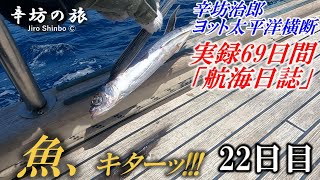 トビウオ、デッキへ飛び込んでくる!!&メインセール揚げます 辛坊治郎ヨット太平洋横断往路69日間の航海日誌動画22日目～辛坊の旅～