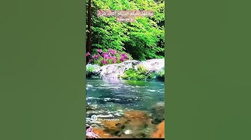 فواتح سوره طه بصوت القارئ الشيخ فارس عباد ♥️♥️♥️ #اكسبلور