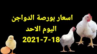 اسعار الدواجن اليوم الاحد18-7-2021