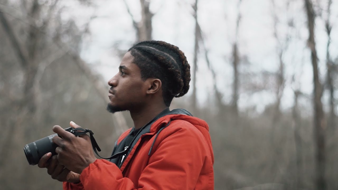 Cinematic Nature Video| Moody