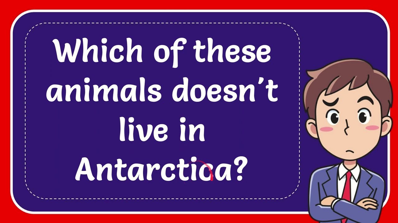 Which of these animals doesn't live in Antarctica? Answer YouTube