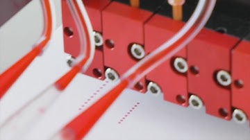 BioSpot® - Process lateral flow strips