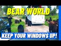 Yellowstone Bear World...BEARS EVERYWHERE!
