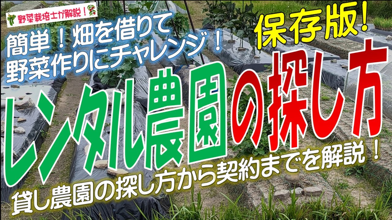 野菜畑の借り方・探し方！（農園の見つけ方から契約まで詳しく解説 