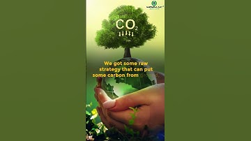 What is the difference between Net Zero and Carbon Neutrality? #shorts #viralshort #science