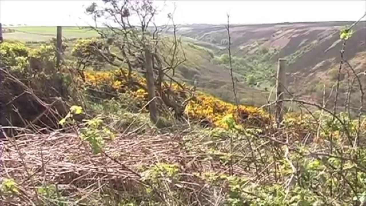 Down our Way - 3. Lorna Doone/Exmoor