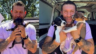 We took in 11 starving puppies from a backyard breeding situation | Lee Asher