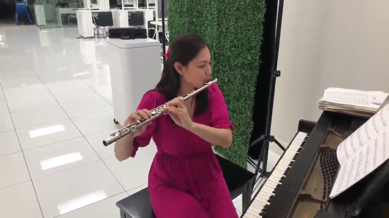 Eastar EFL 1 Closed Hole C Flutes 16 Key Nickel Beginner Student Kids Flute Musical Instrument, Grea