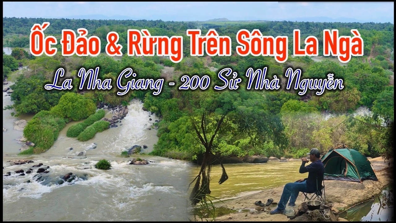 Những cồn đá và rừng đầy hoang sơ trên sông La Ngà, một mình cắm trại ở bìa rừng La nha Giang.