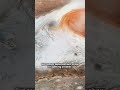 Jupiter Storm — Why Is It Shrinking? 🌪 #Jupiter