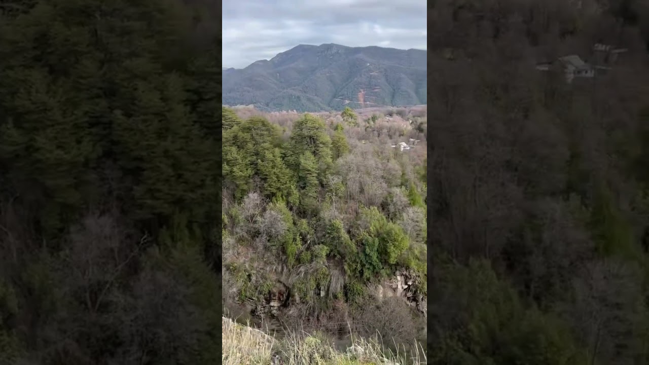 Viento en El Risco de Recinto 🗻🌳 