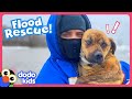 Heroes Run Into Freezing Flood Water To Save A Dog! | Dodo Kids | Rescued!