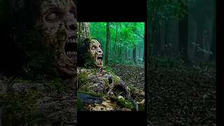Dangerous  Deadly Forest In  World #facts #viral #shorts