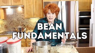 Bean Fundamentals