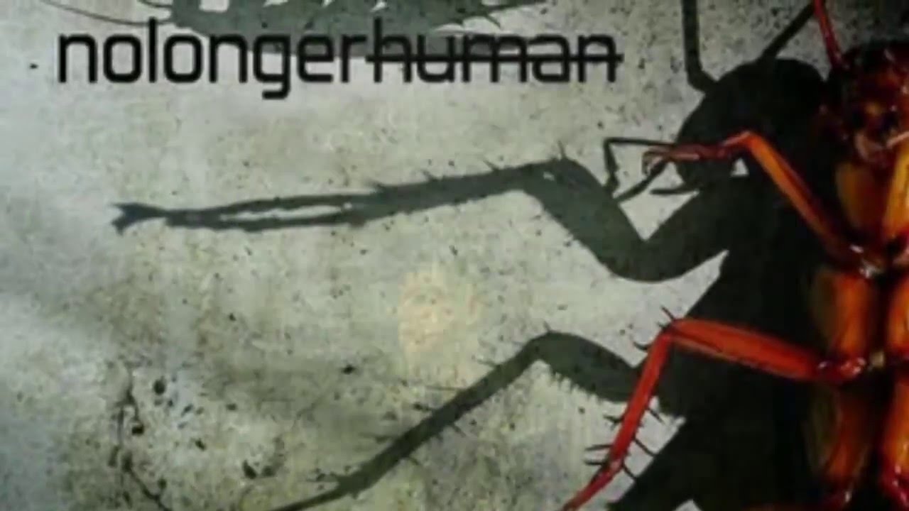 Let Me Go | [antipathy] | nolongerhuman