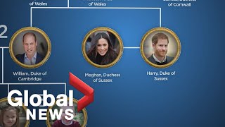 Royal Baby: Where does Meghan and Harry's baby boy fall in the line of succession?