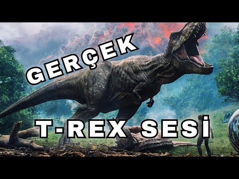 Dinozorların Gerçek Sesleri Nasıldı?