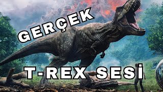 Dinozorların Gerçek Sesleri Nasıldı?