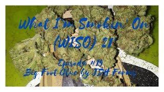 WISO 21' #14 Big Foot Glue by JDH Farms