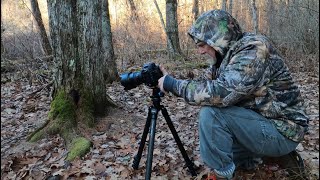 Download Lagu New Hampshire: A Landscape Photography Adventure MP3