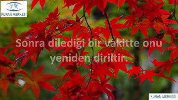 Abese Suresi - Raad Muhammad al Kurdi - رعد محمد الكوردي - Raad al Kurdi