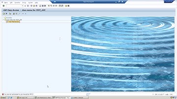 SAP Security FAQ3: What is difference between S_TCODE and S_USER_TCD ?