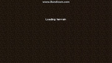 viaversion bug report 1.11 crash