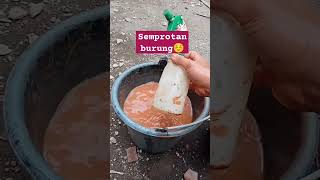 Semprotan Burung Oddly Satisfying short vidioviral viral trending
