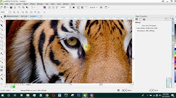 Coreldraw basics tutorial 2: How to use coreldraw 2-point line tool, episode 2