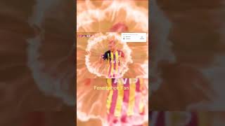 Rakip Dinamo Kiev Bekli̇yoruz