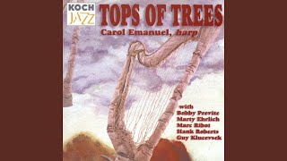 How Long Is the Coast of Brittany (feat. Jerome Harris, Steve Gaboury, Nicky Gregoroff, Bobby...