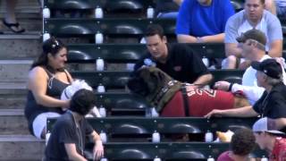 2012/08/26 Bark at the Park in Chase Field