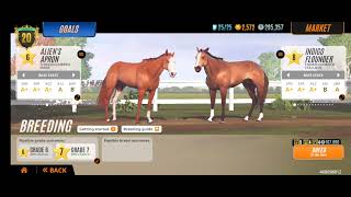 Rival stars: Breeding horse and prestige level 21
