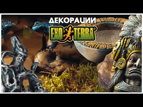 Поилки, кормушки, укрытия и декорации Exo-Terra. Что в них особенного? 🌋