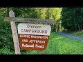 Free Camping at Oronoco Campground, George Washington NF, VA