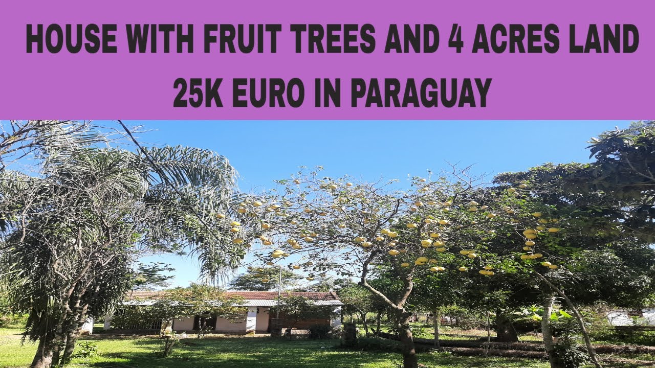 PARAGUAY HOUSE SOLD FOR 25000 EUROS WITH 4 ACRES LAND AND FRUIT TREES