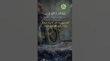 Surat Alfurqan سورة الفرقان #quran #اكسبلور #القرآن_الكريم #دويتو #پەیامی_قورئان #duet #لايك