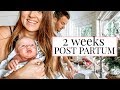 DAY IN THE LIFE WITH A NEWBORN AND TWIN TODDLERS | Kendra Atkins