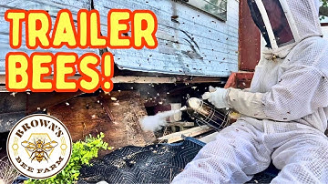 Doing a cutout under a trailer