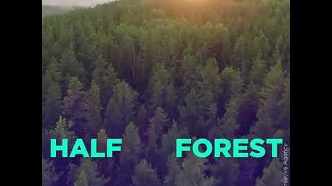 Reforestation by use drone, seed bullet   AI and modern technologies