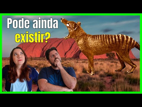 Vídeo: Como o tigre da Tasmânia foi extinto?