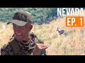 BUCK at 47 Yards! | Nevada Mule Deer (EP. 1)